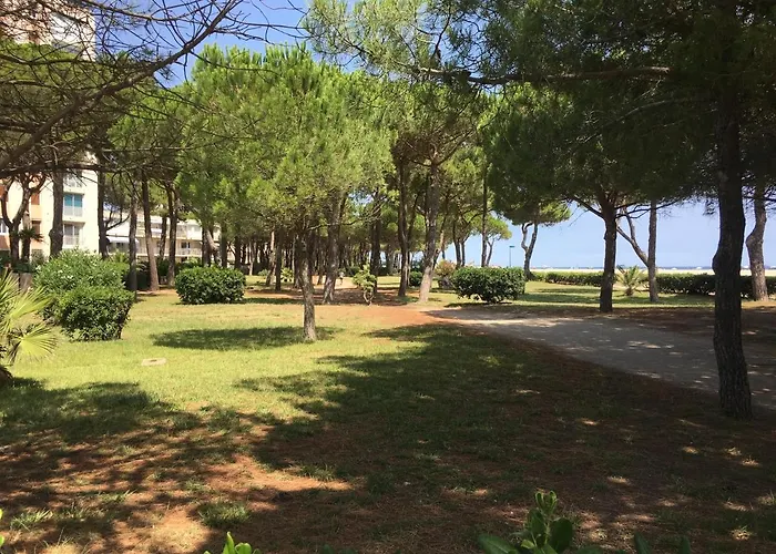 La Palmeraie